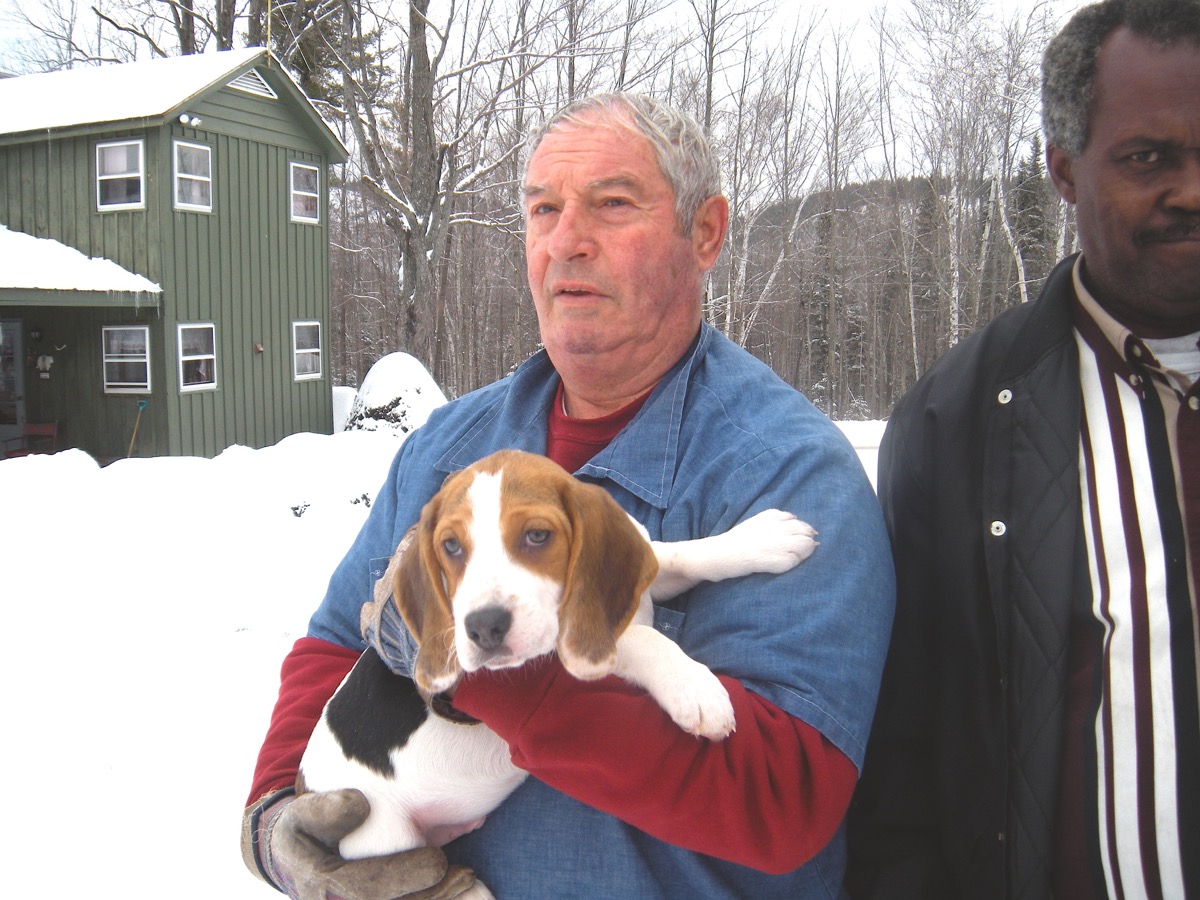 Banjo Boy, a blanket-patterned Patch hound puppy