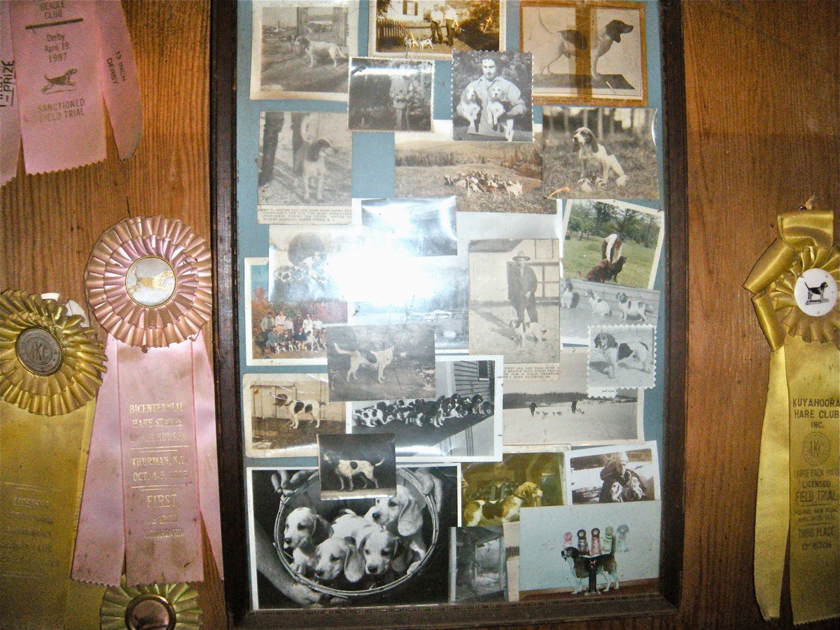 A wall of field trial ribbons and vintage photographs of Patch hounds